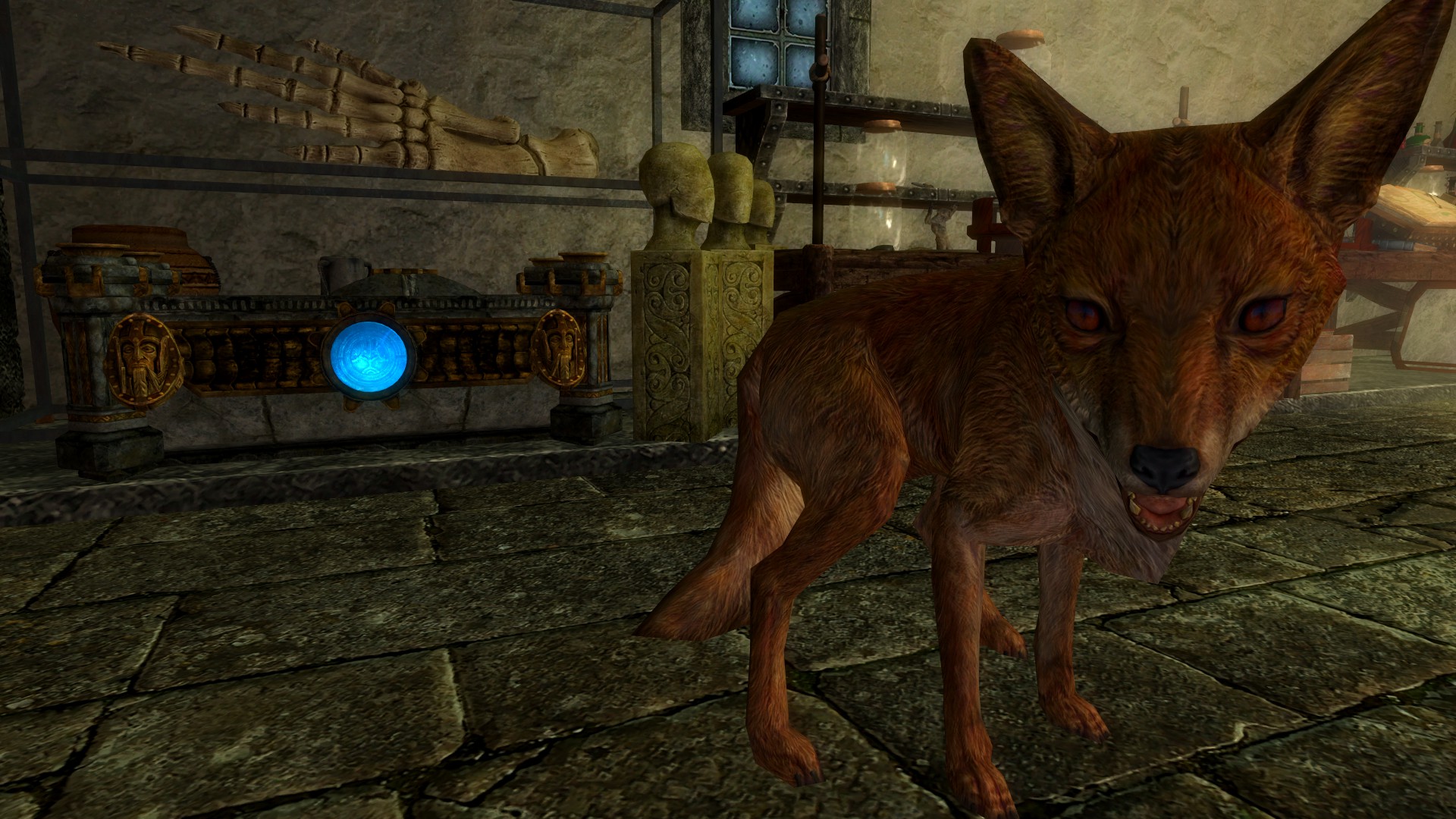 Skyrim Foxes Lead To Treasure